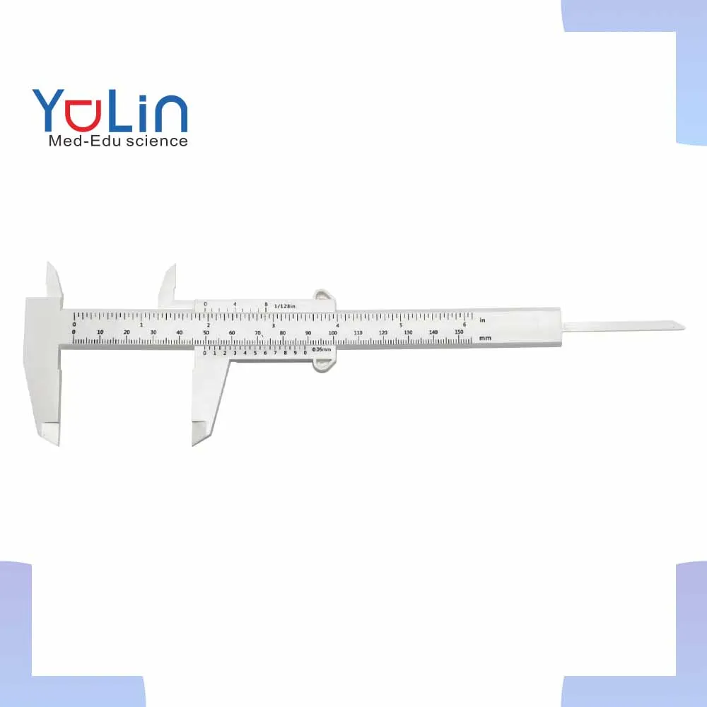 vernier Caliper Plastic Ruler Sliding Gauge Vernier Caliper For Jewelry And School Students Mini Vernier Calipers