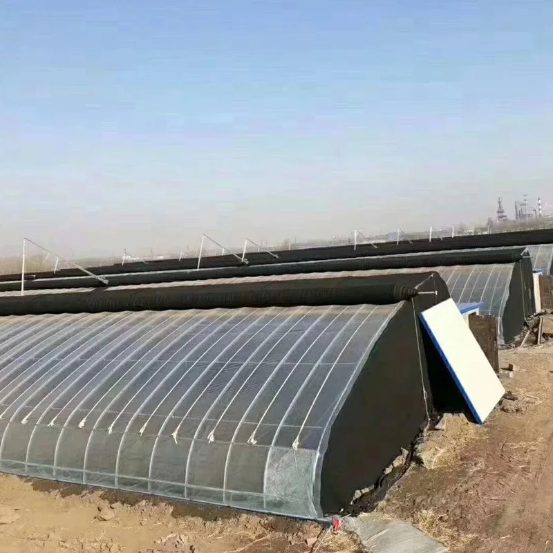 European and American hot wholesale price low-cost( film + framework)agricultural greenhouse