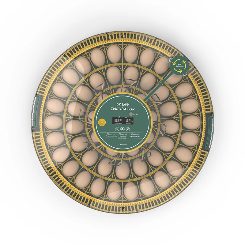 WONEGG New Incubator 50 Egg Turner For Incubators Hatching Eggs AC And DC