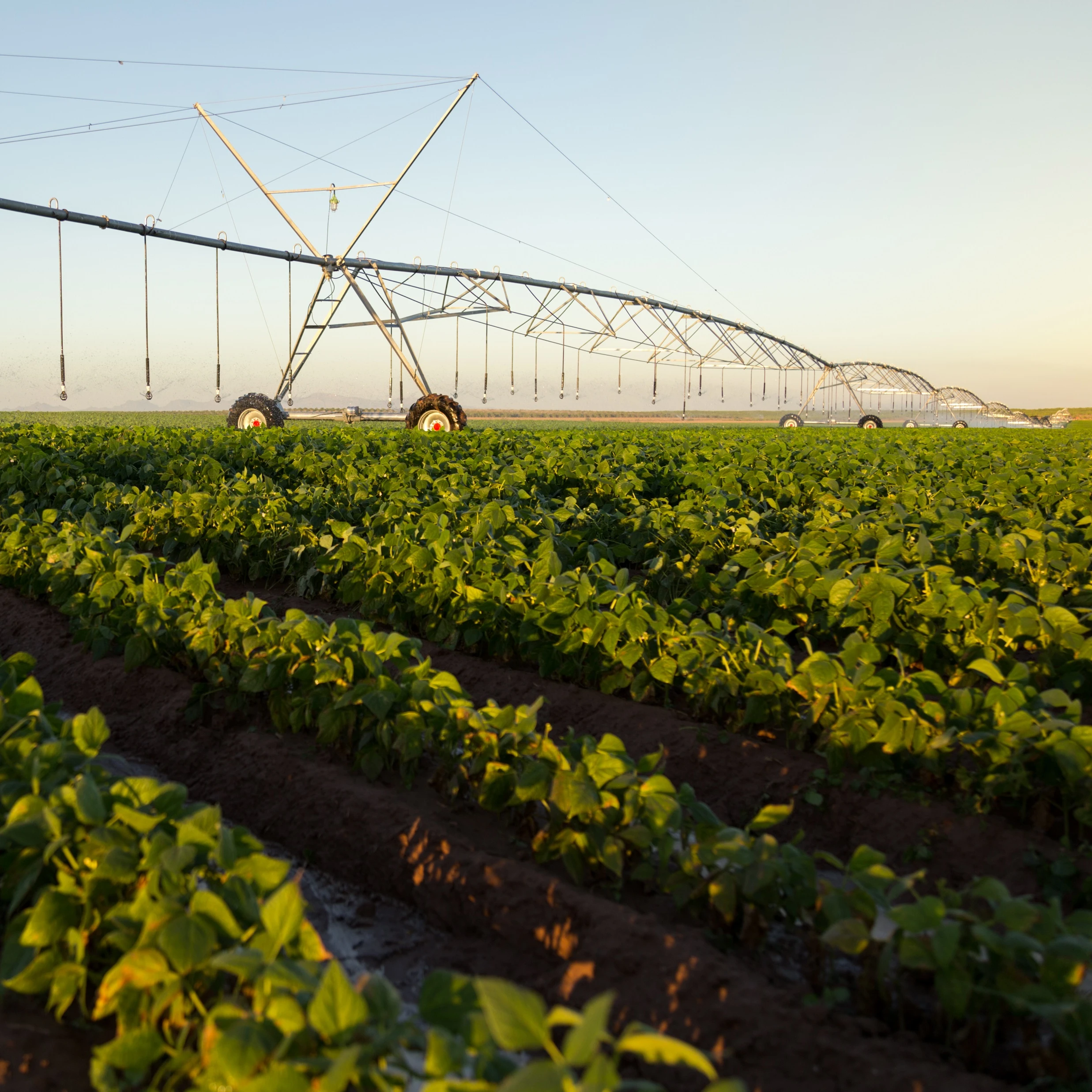 Center Pivot Irrigation Lateral Move Irrigation System with Poly Lined Pipes for sale