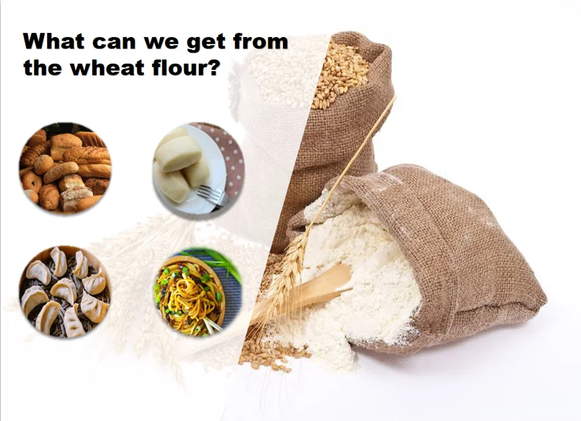 New Design Food Grade 5-15 Td  Maize  Grinding Milling Machine/Flour Processing Line