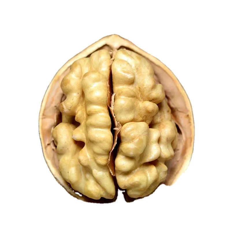 Wholesale Healthy Delicious 100% Organic Best Quality Export Walnut Best Price Raw Dry Fruits Washed Walnuts