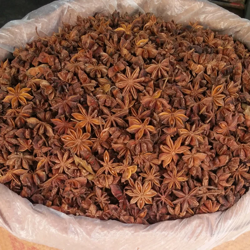 New harvest black star anise best spices star anise seeds top quality cheap star anise for sale