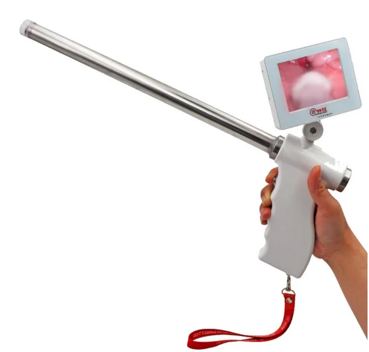 Portable veterinary insemination gun with heated and vibrated big cow