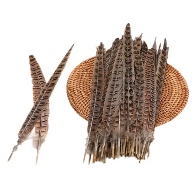 Factory wholesale 10-100cm female male pheasant tail DIY headwear accessories pheasant feather