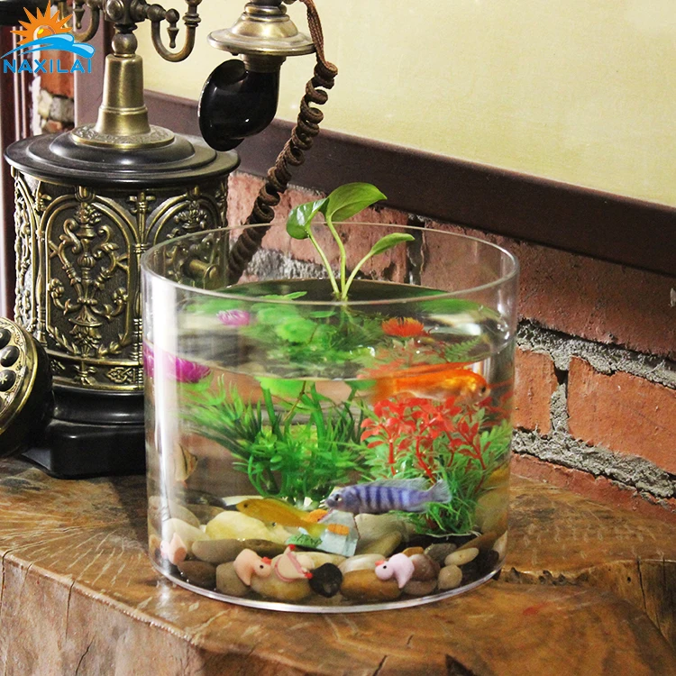 
NAXIALI Aquarium Fish Of Sale Mini Fish Tank Aquarium Transparent Acrylic Aquarium Fish 