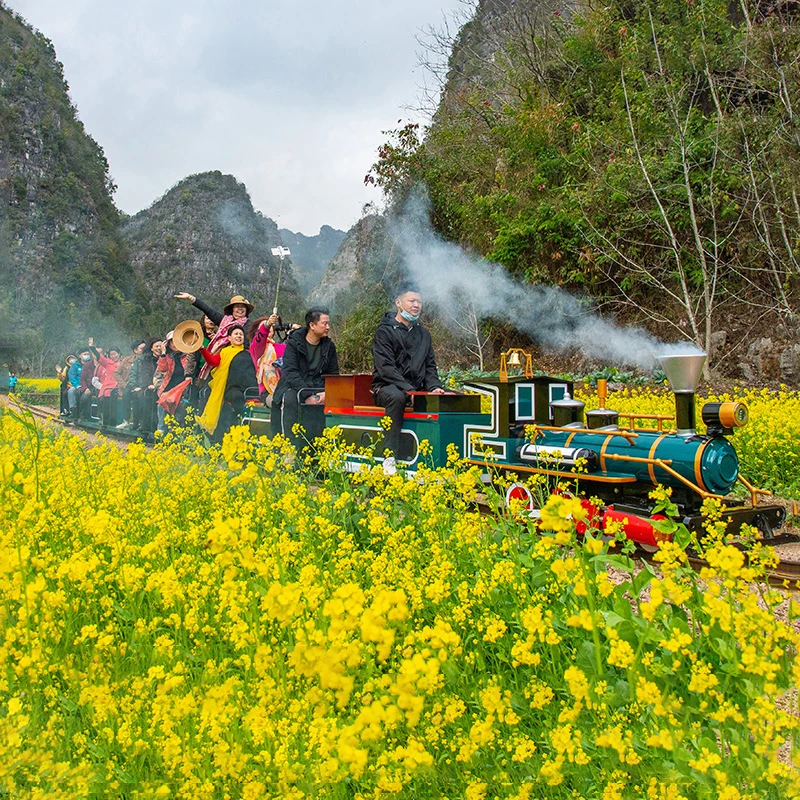 Large Outdoor Amusement Park Equipment Track Train Rides Train Track Amusement Park Train Rides For Sale