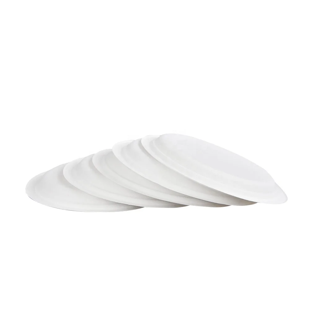 
disposable plates with lid compartment 