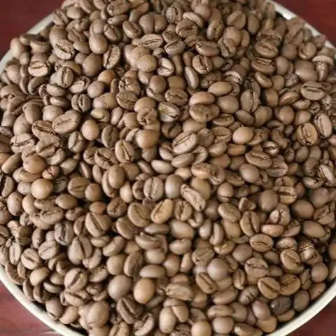 Robusta green coffee bean for sales Vietnam origin