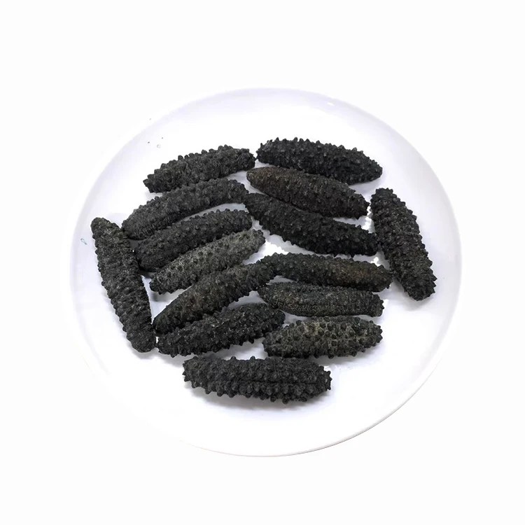 High Grade Wholesale Sea Cucumber Dried Sea Cucumber