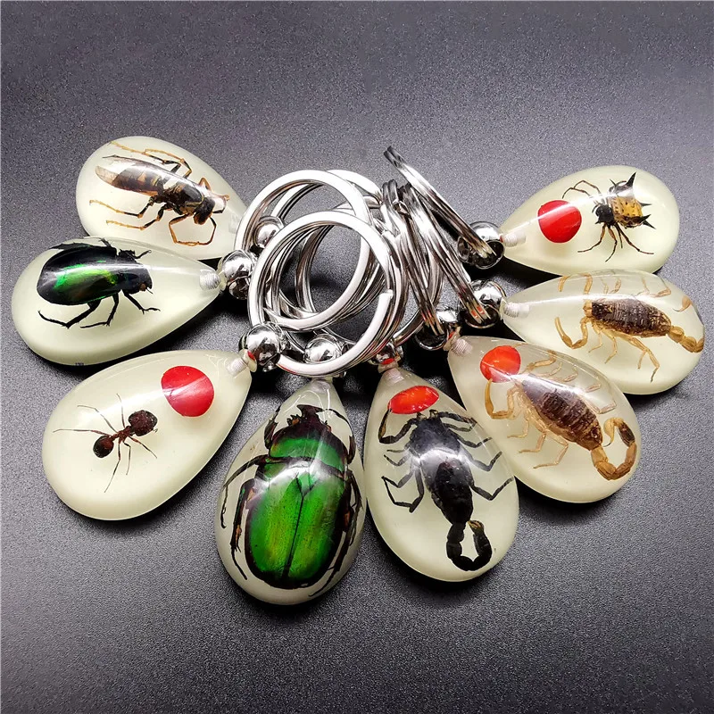 Luminous amber insect keychain pendant real insect resin specimen pendant wholesale  tiktok hot supply promotion gift set