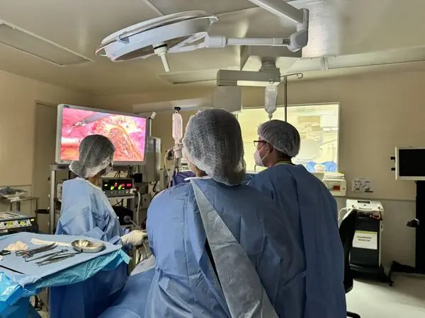 factory Wholesale price Bipolar Surgical Ligasure Vessel Sealing Electric Surgery Instrument Ligasure maryland Small Jaw Forceps