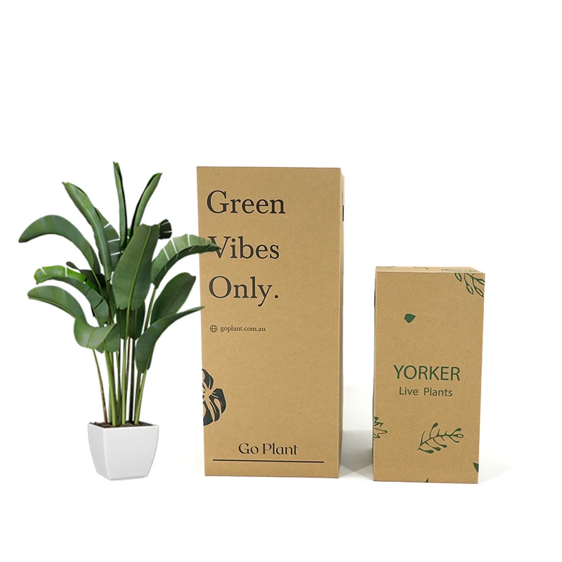 Wholesale Live Potted Plant Packing Box Durable Wall Kraft Paper Corrugated Cardboard Plant Shipping Box for Transportation