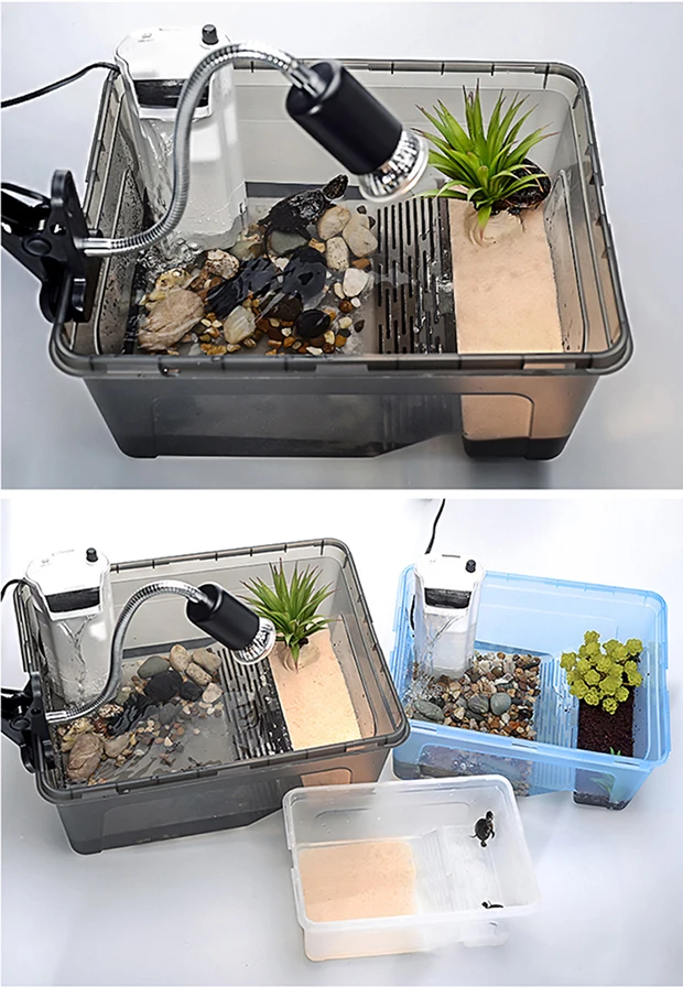 Barbarous BG Growth SG-01 Aquarium Reptile Breeding Box Plastic Water Turtle Tortoise Paradise Reptile Cage tank Feeding Box