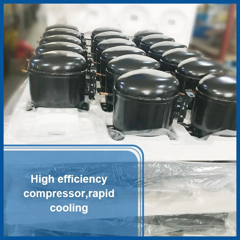 High Quality Constant Temperature Plant Light Incubator