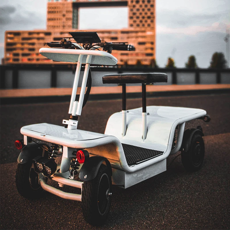 D16 Mobility Scooter Cargo Bike 4 Wheel Travel Electric Truck Tricycle 1000W