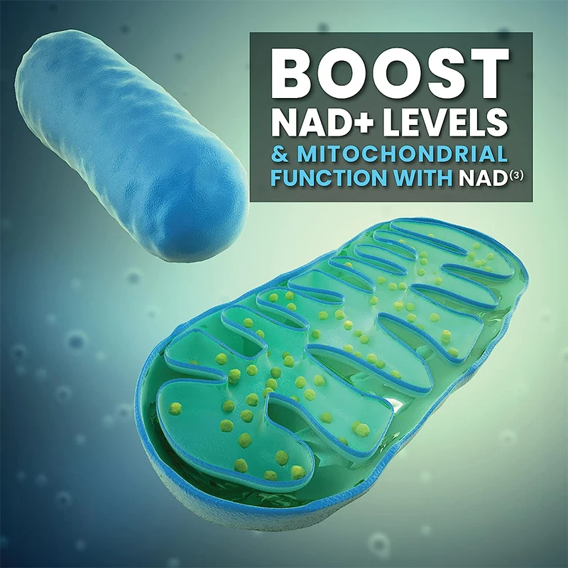 Supplements NAD3 NAD+ Booster Extra Value Size Clinically Proven & Independently Tested  Metabolic Repair 240 Capsules