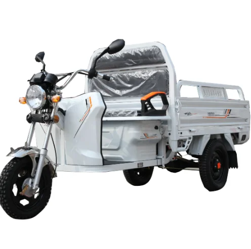Электрические грузовые трициклы 500W 60V мотоциклы с 3
