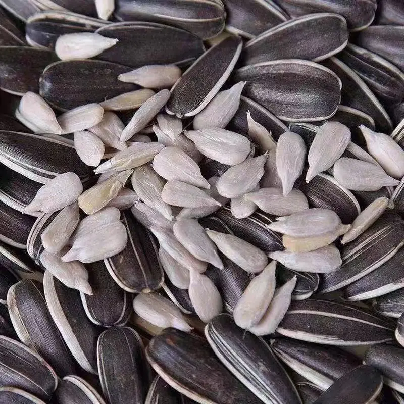 New Crop Chinese Sunflower Seeds 361/601/5009 Sunflower Seed Kernel