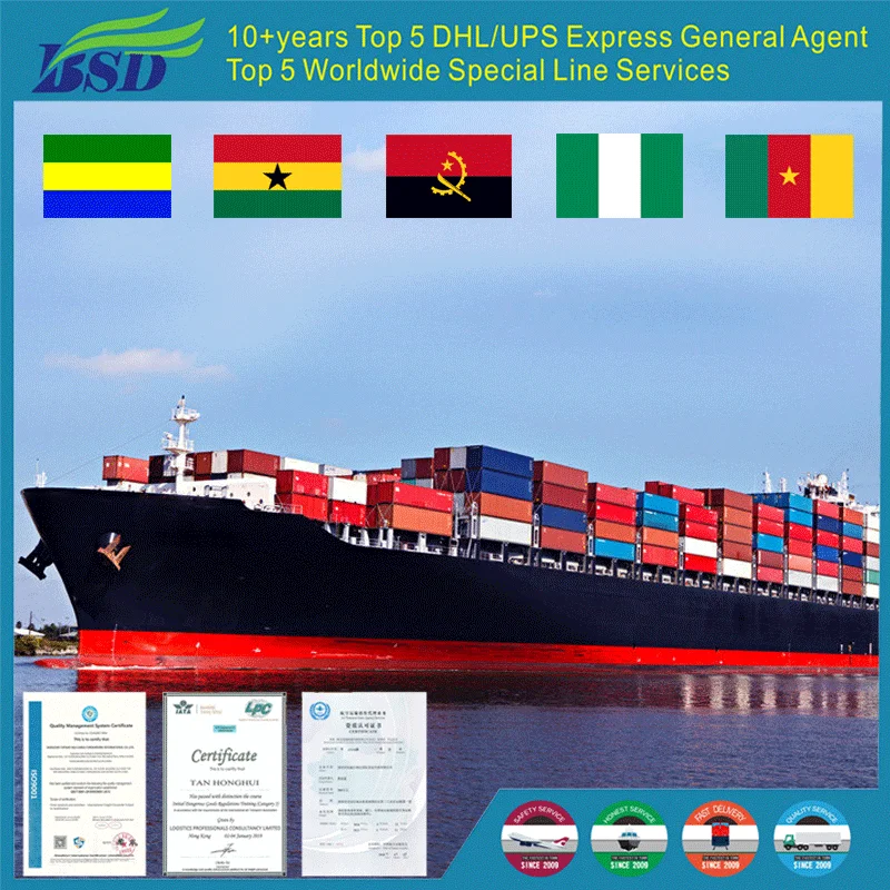 Ddp Door to Sea Air Freight Forwarder Service Shipping Agents Douala Cameroon From China