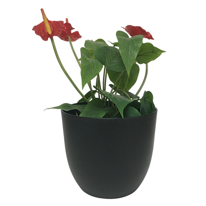 4-inch Smart Home Plastic Round Outdoor Bonsai Pots Garden and Decoration Flower Small Size Design with CM Carton