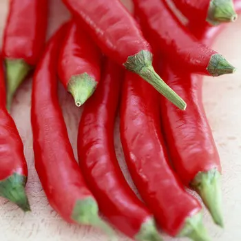 Premium Quality Standard Fresh Red Chili Spices 100% Pure Fresh Hot Chili Pepper At Low Price