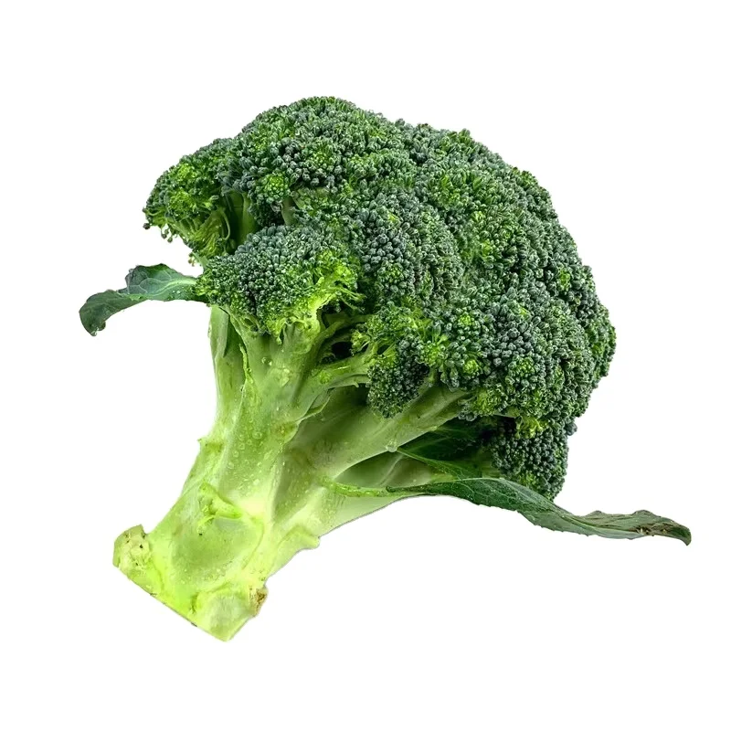 Фруктовые овощи оптом Горячая Распродажа Китай Очистка свежий брокколи зеленый