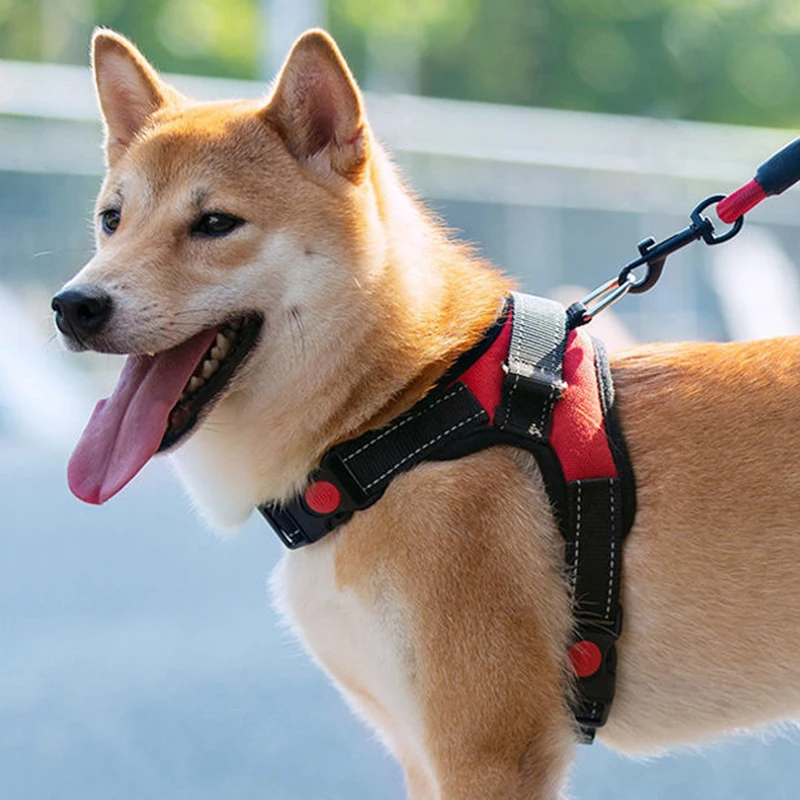 Customizable Burst Proof Bone Pet Chest Strap Factory Design Prevent Slippery Leashes Wear-resisting Dogs Strap Harness