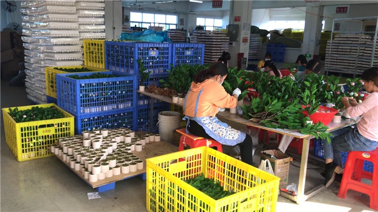 wholesale pe large pvc outdoor flocked  artificial  tree felt christmas tree large decoration ornaments