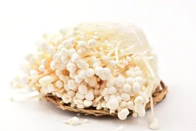 Sell fresh and high-quality flammulina velutipes