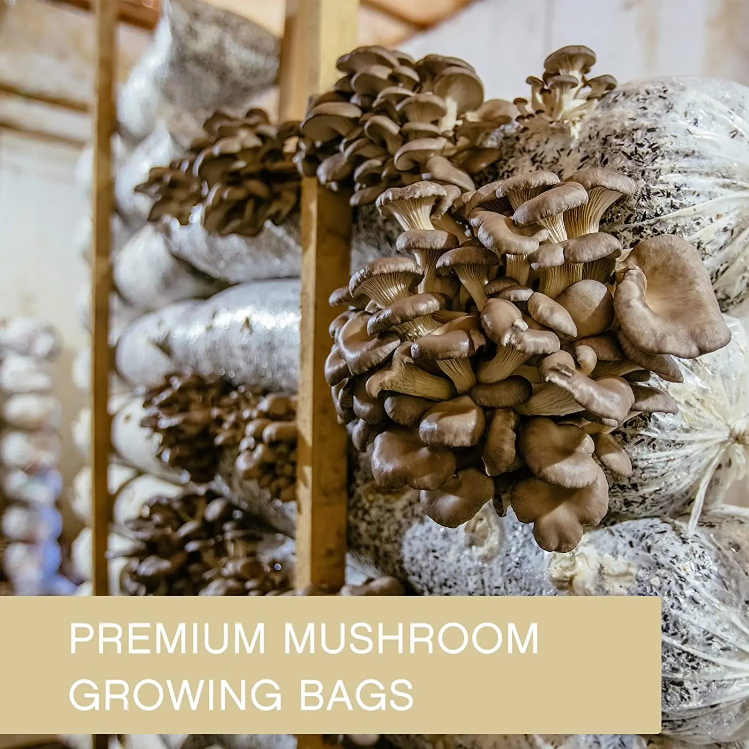 HK Mushroom Filter bag,Mushroom grow kit Grain bag For Spawn