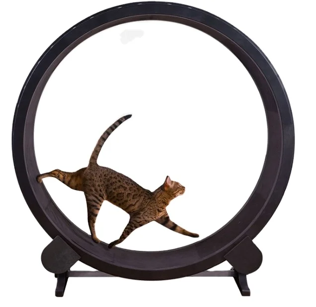 2024 New wn Unique design low noise firm base cat running wheel Cat Treadmill Toys