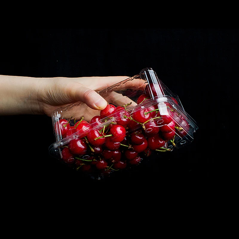 Food Container with Dome Lid Fruit and Salad Packaging Box Transparent PET Plastic Disposable OEM ODM Custom Embossing