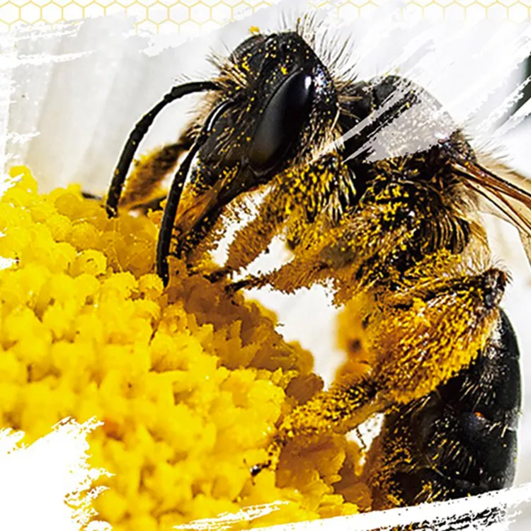 Мед Vital Royal Honey Plus натуральный мед для повышения мужской