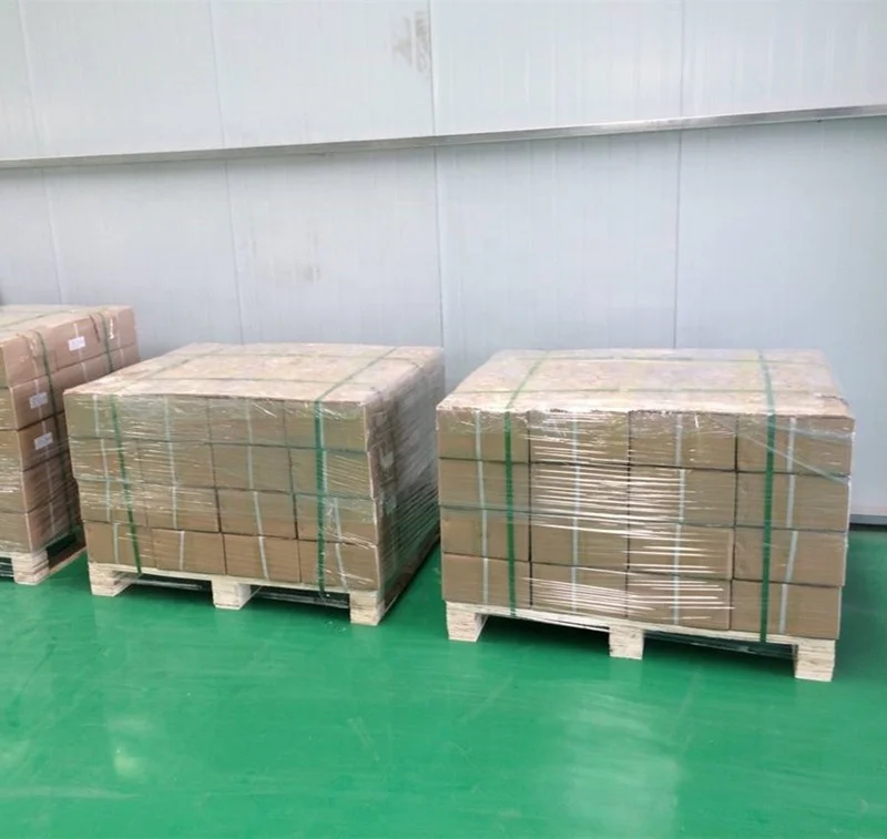 Rear Brake Caliper Repair Kit OEM 7701206346 for Renault