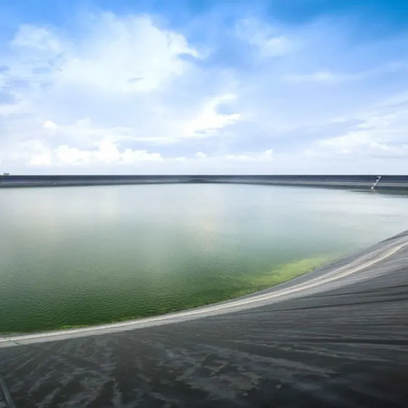 Factory wholesale geomembrane pond liner hdpe geomembrane fish farming 2.0mm hdpe  geomembrane