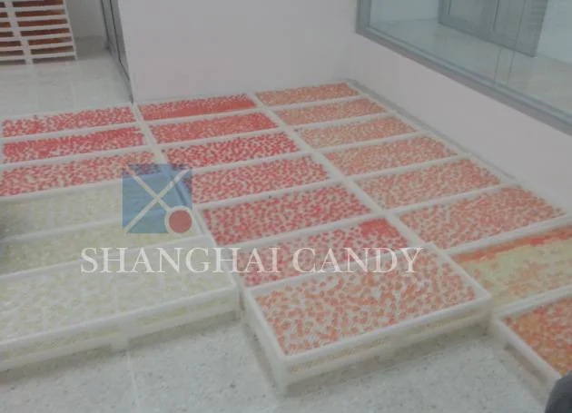 Gummy Candy производственная линия завод