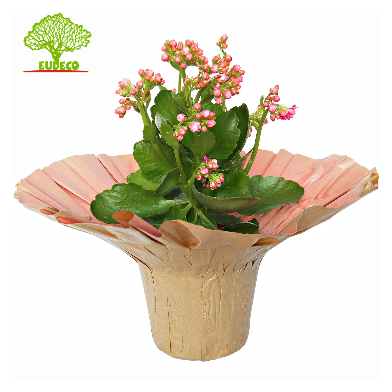 Good Selling  Kraft Paper Large Flowers Pots Wholesale Bouquet Holder Sleeve Packing