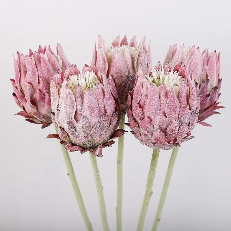 63CM High Quality Flocking Silk Faux Thistle Flowers White Artificial King Protea Flowers for Flower Arrangement