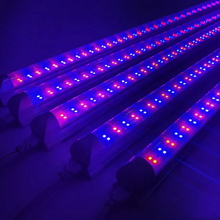 t8 led grow lights tube 660nm red 440nm blue for hydroponic indoor plants