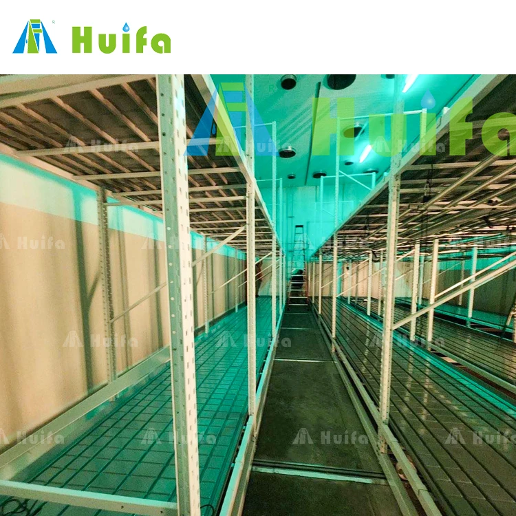 Vertical Multi Layers Level System Greenhouse Aluminum Seedbed Frame And Plastic Abs Food Grade Tray Benches