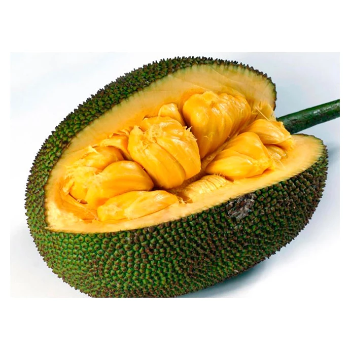Свежий Премиум Jackfruit Горячая Распродажа Новый-высшее качество, Лучшая цена, непосредственно от производителей в Мексике от MX