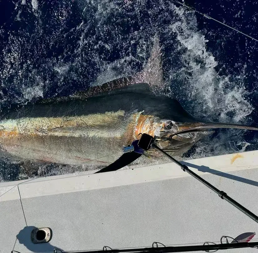 12inch Marlin tuna trolling lure colorful skirt lure big game fishing lure sea fishing