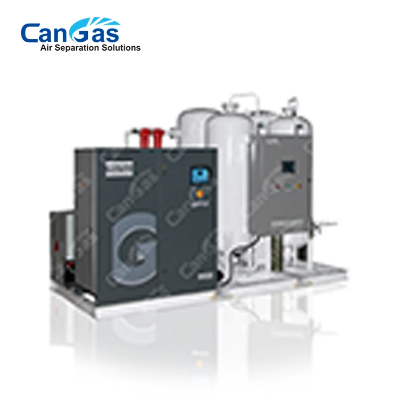 Oxygen source compact oxygen generator for ozone water treatment