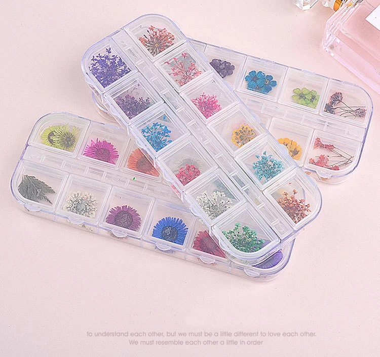 China Factory 12pcs/Box Nail Dried Flowers Multi Colors Natural Pressed Dry Flower Decoration Mini Nail Art Dried Flower
