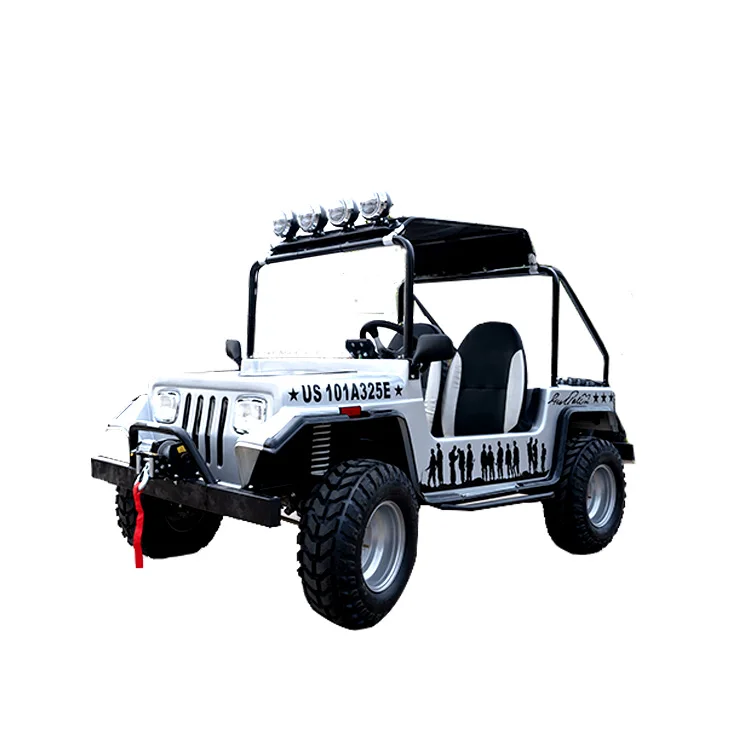 Китай горячая продажа бок о 4x4 электрическая Багги