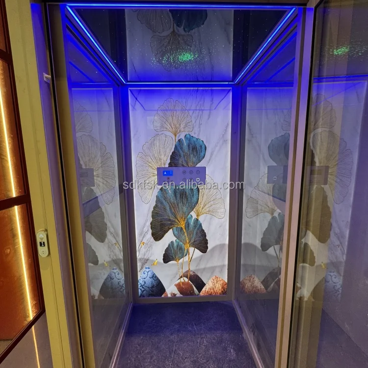 Cheap price small home elevator lift indoor small elevators 3 floor for elderly people