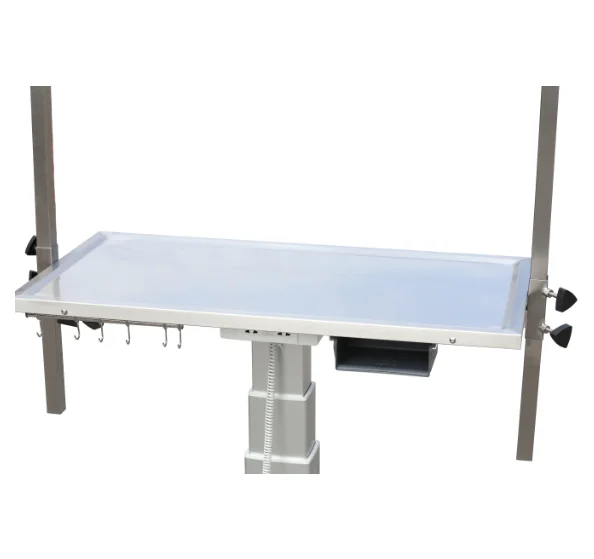 FT-892 Aeolus Electric Lifting Rectangular Dog Grooming Table Factory Supply Quality Assurance Pet Station