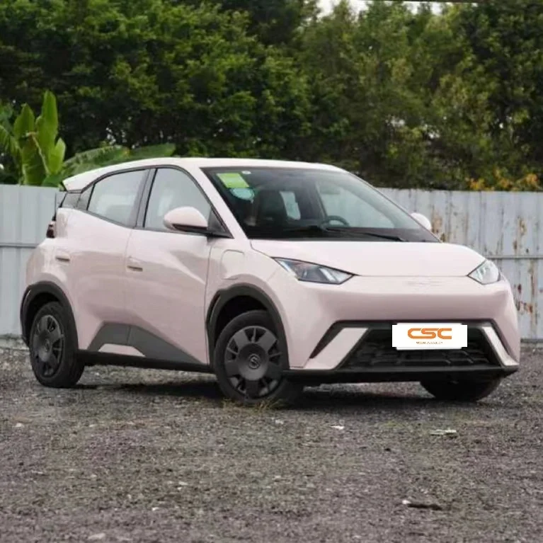 Small Electric Car Option with Eco-Friendly Design and Affordable Pricing