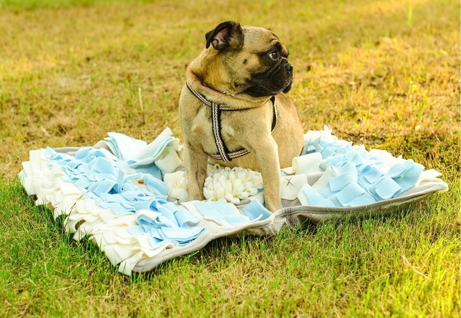 Polar Fleece Pet Dog Snuffle Mat Nose work Blanket Dog Training Mat for Stress Release and Slow Feeding Mat